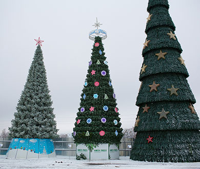 Каркасные ёлки в Бийске